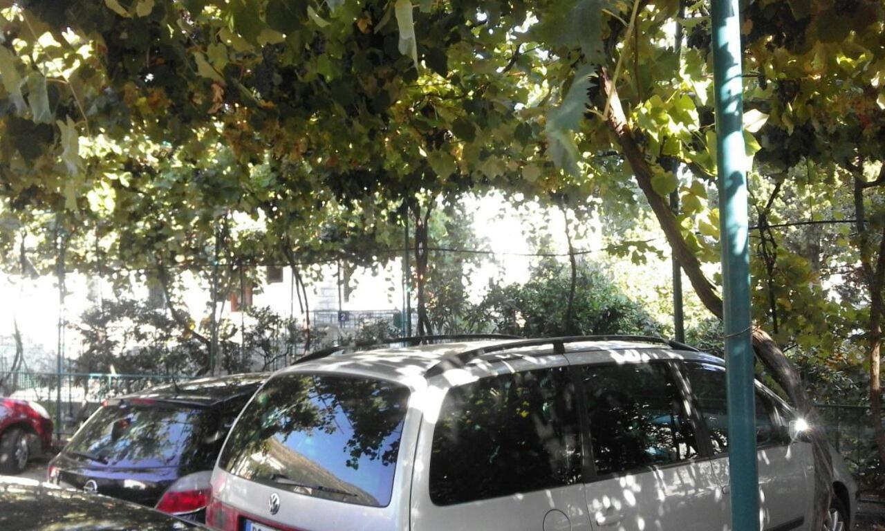 Apartments Jovana Petrovac na moru Exterior foto